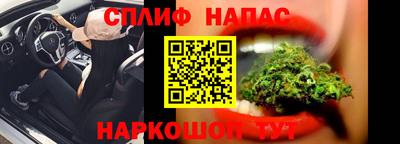 прущие грибы Малгобек